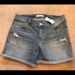 SOLD NWT: LOFT denim shorts